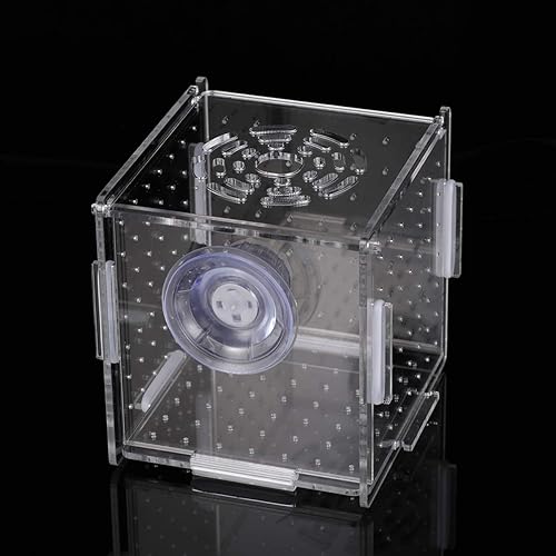 Miniatura 8 de POPETPOP Caja de aislamiento para cría de peces, incubadora de criadero, incubadora de acuario, cajas de cría de peces divisorias, accesorios para