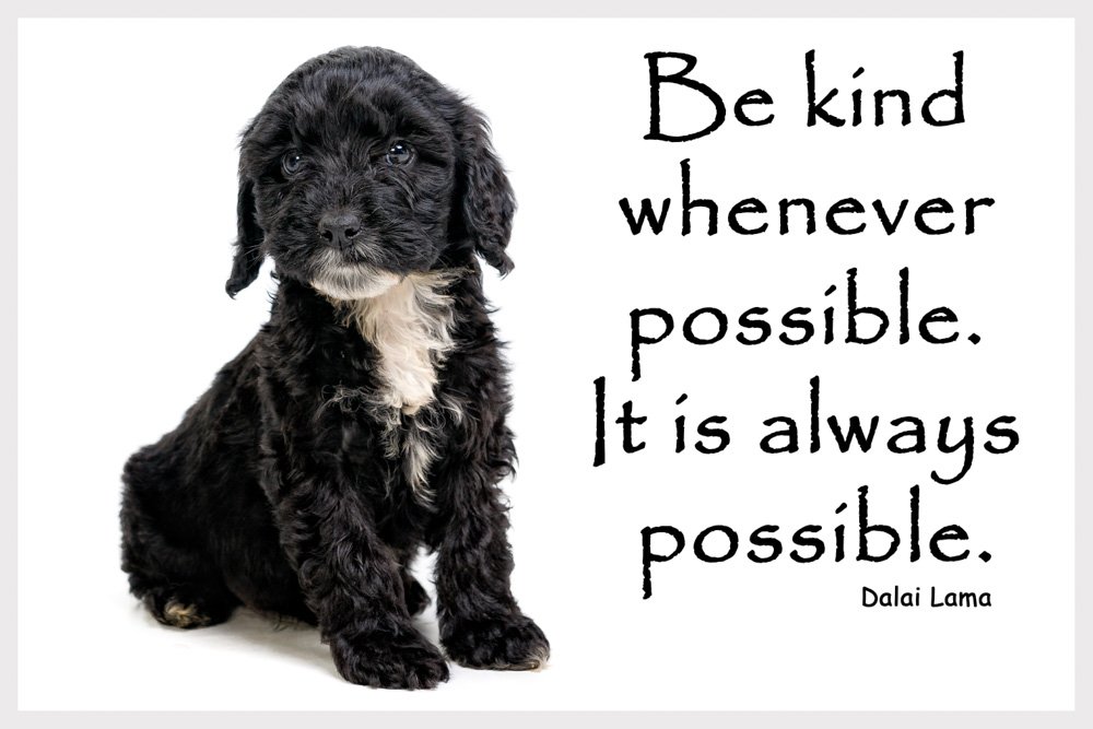 Inspirational Friendship Dalai Lama Quote Fridge Magnet Gift