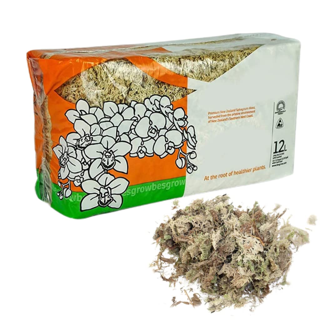 Sphaigne Mousse pour Reptiles 150 g séchée Terrarium literie
