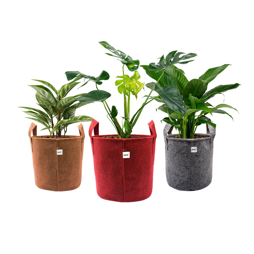 UPAAJ Geo Fabric Grow Bags 15x15 inch Multiple Color | 400 GSM Fabric Grow Bag | Plant Bags for Home Garden | Growing Bag & Grow Bags for Plants | Terrace Garden Accessory | Pack of 3 (B0D97W243D) Amazon Price History, Amazon Price Tracker