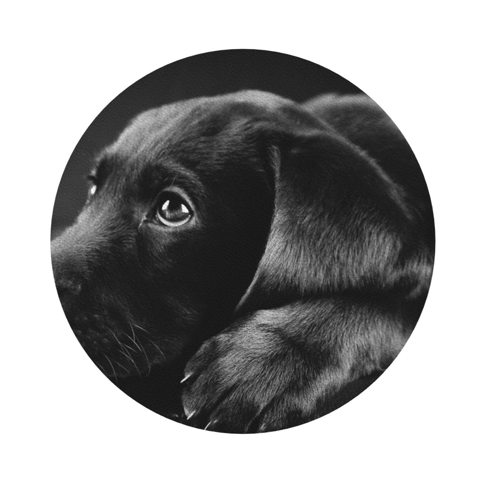 puppies dog PU Leather Coasters Set of 6 Round Drink Coasters
