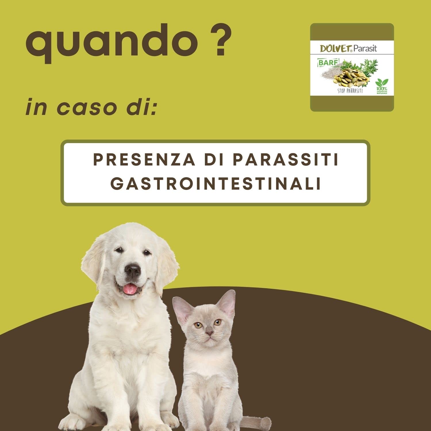 Dolvet Parasit Vermifugo per Cani e Gatti 70 grammi, Formulazione naturale sverminante, Combatte i Parassiti e Vermi dell'Intestino - Linea BARF