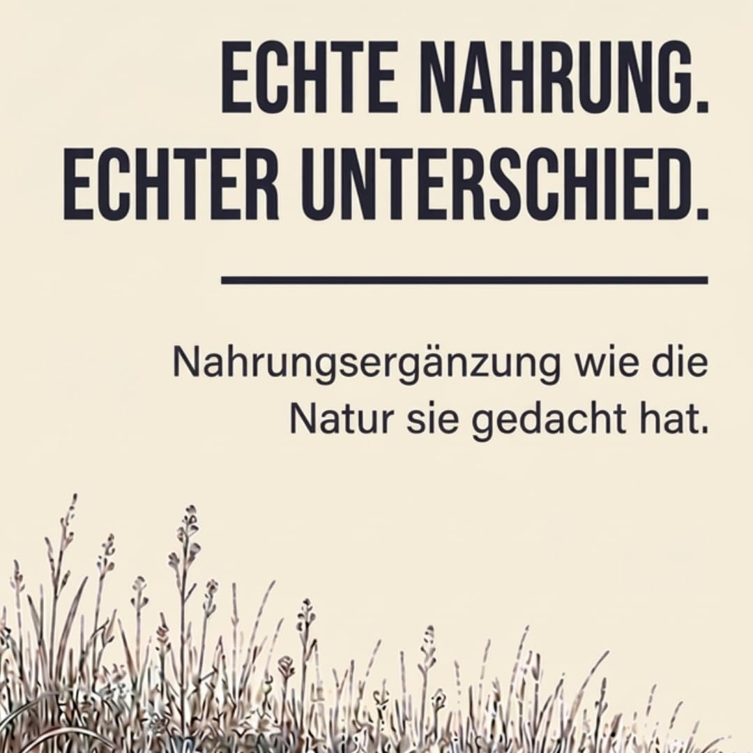 Stierhoden Kapseln – 240 Kapseln aus 100% Beef Testicles vom Weiderind aus dem Allgäu | Natürliches Male Performance Supplement I Männersache | Tierisches Organ-Supplement | AUR Naturals