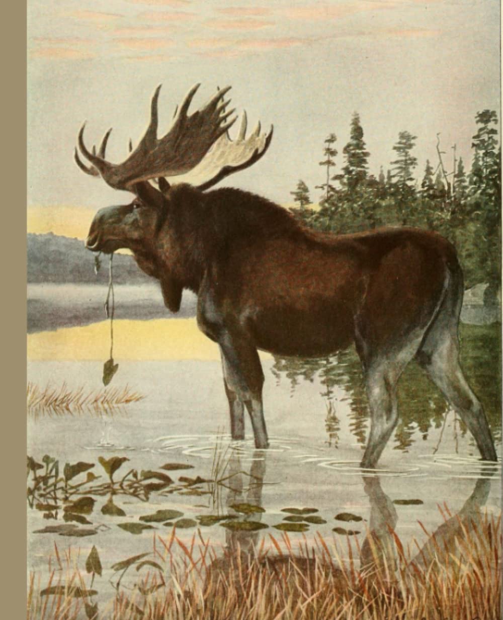Notebook with Moose Design: Vintage Illustrated Cover, 120 pages, 7.5”x9.25”