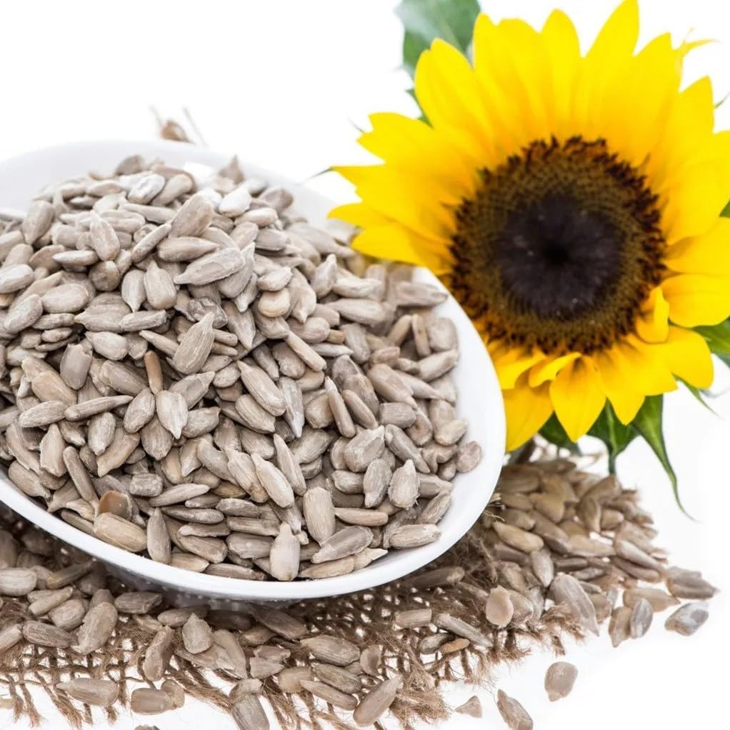 LILA DRY FRUITS Raw Pumpkin Seeds 250g and Sunflower Seeds 250g for Eating | Protein Rich Healthy Snacks High Fiber Superfood Immunity Booster Diet Seeds for Salads (500 gms) Perfect for Gifting 4