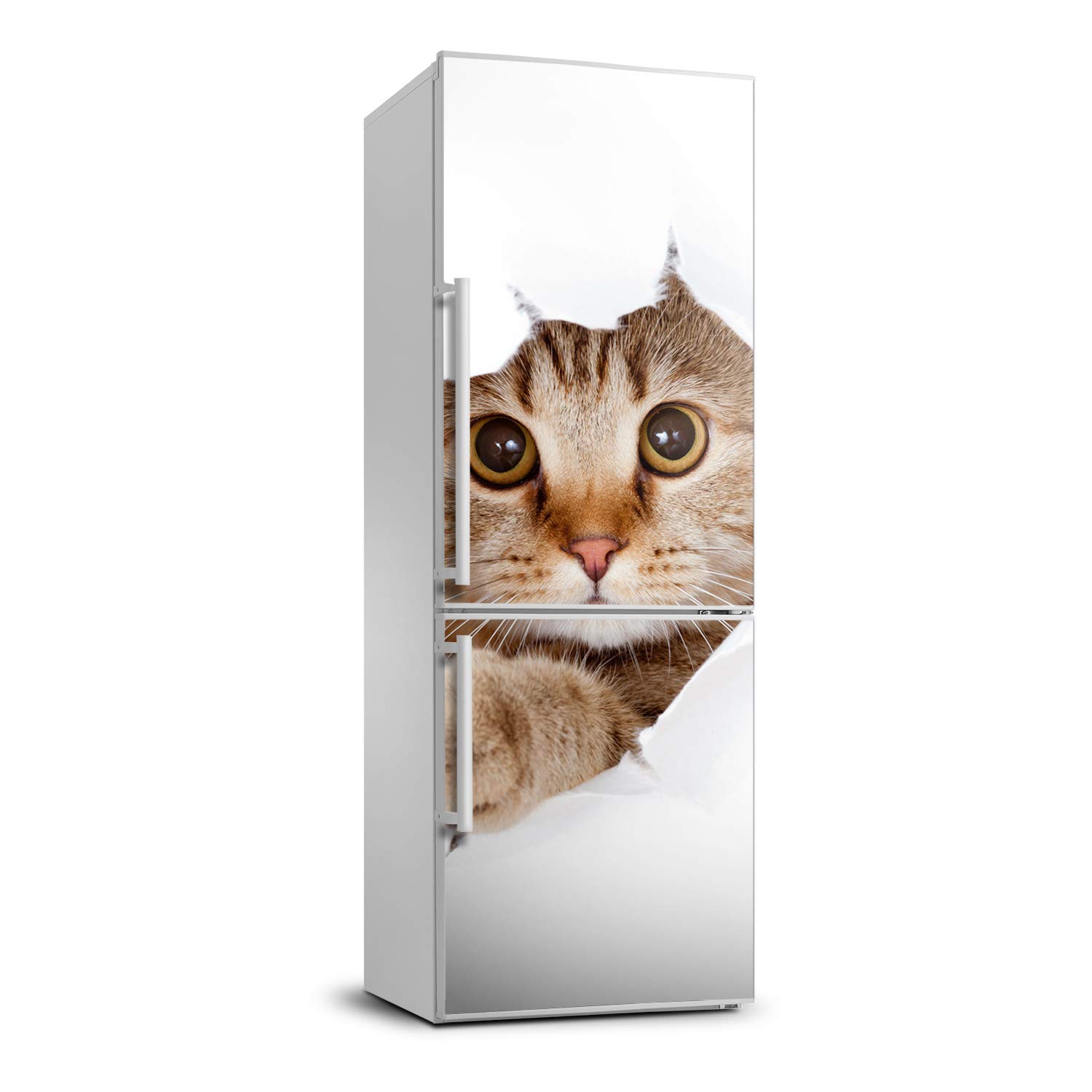 Autocollant frigo 70x190cm pour décorer une cuisine familiale
