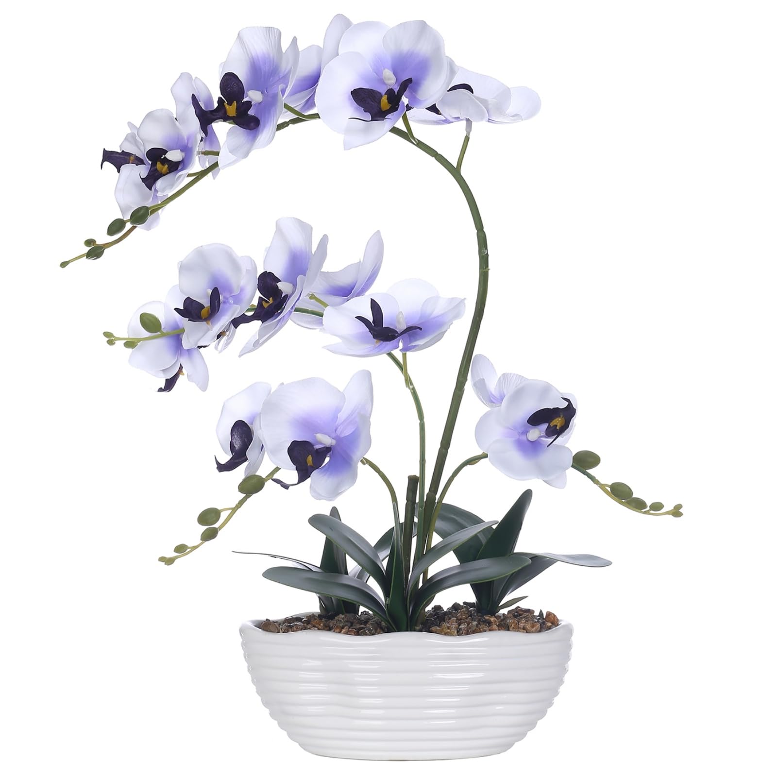 GreenHouzz 19 Faux Orchid
