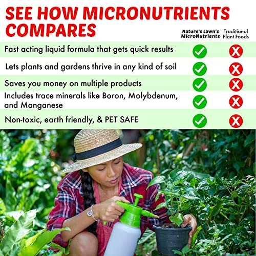 Best Pet Safe Lawn Fertilizers For Every Need On