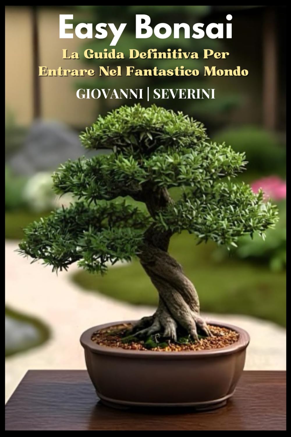 Easy Bonsai: La Guida Definitiva Per Entrare Nel Fantastico Mondo