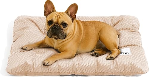 Miniatura 9 de FUNNY FUZZY Cama lavable para perros tamaño XL para perros extragrandes, tapete plano reversible de felpa para perro, almohadas, suave y cómoda,