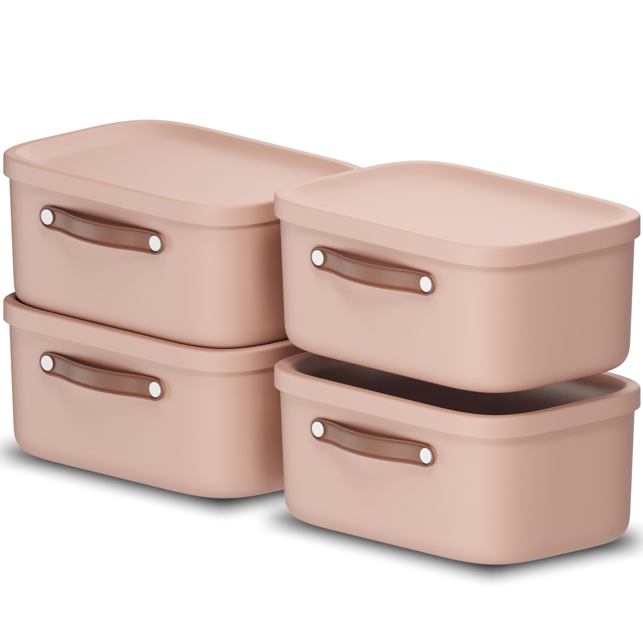 Rotho Maloja 4er-Set Aufbewahrungsbox mit Deckel 12l, Kunststoff, rosa, 12 (39.5 x 26.5 x 17.7 cm)