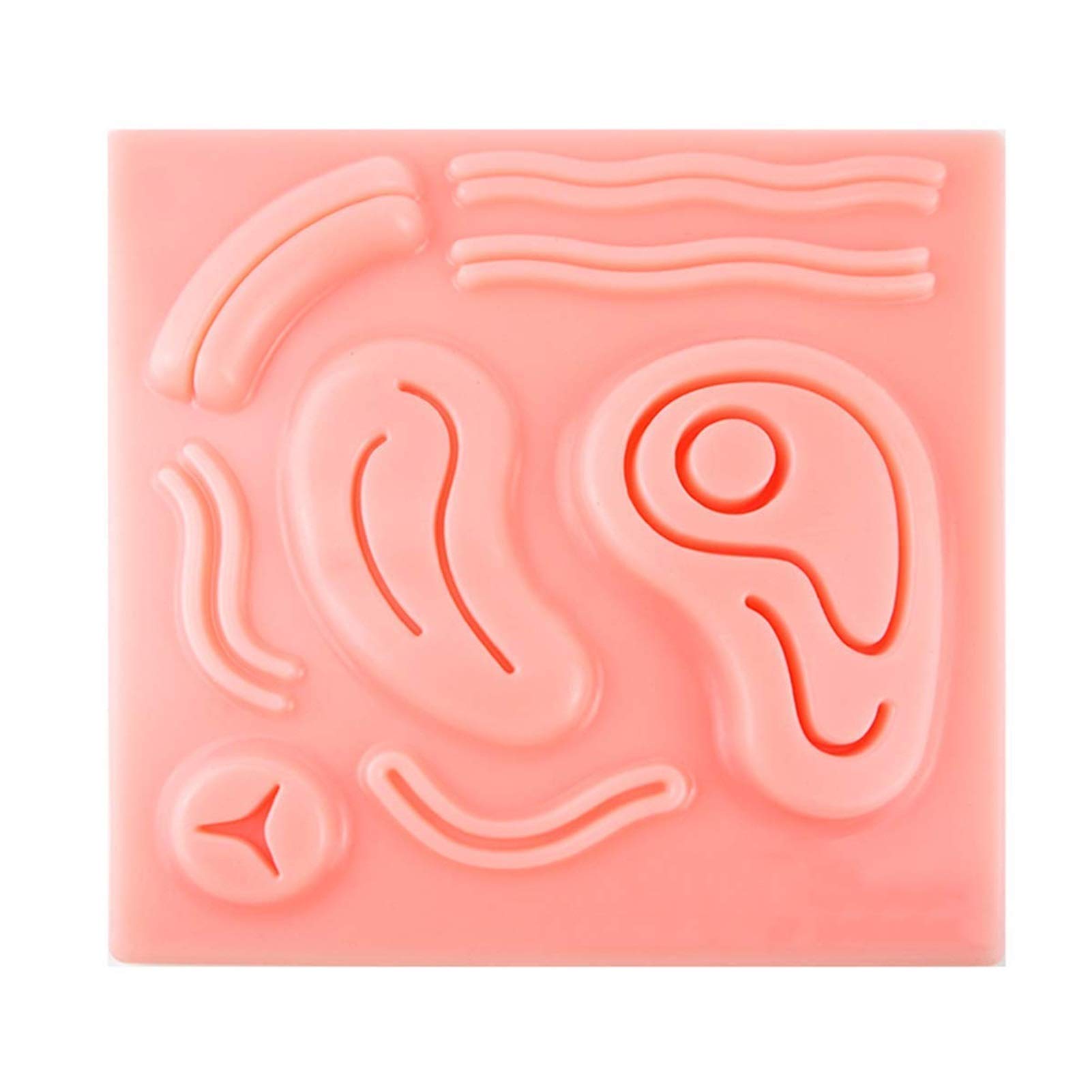 Buy PIAOLIGN Body Model Suture Training Model with 8 Wounds