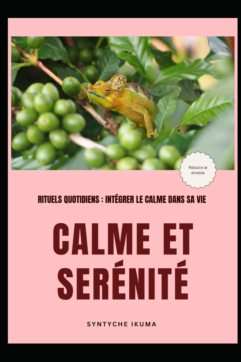 Calme et Sérénité: Rituels quotidiens: intégrer le calme dans sa vie.