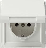 Algopix Similar Product 16 - GIRA 45466 Plug