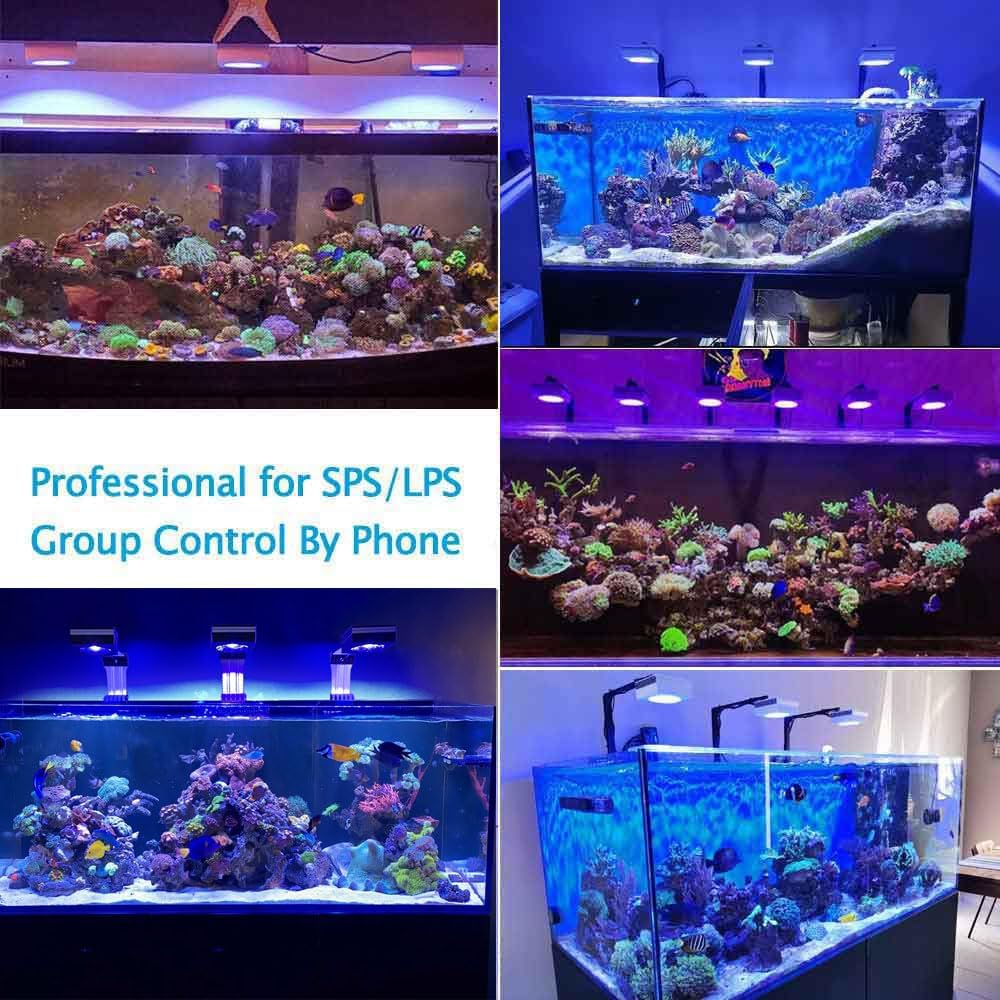 PopBloom RL90 WiFi luz led Acuario Marino, lampara Acuarios Pantalla led Acuario Coral, Luces para acuarios (1 Lámpara Con Kit de Montaje)