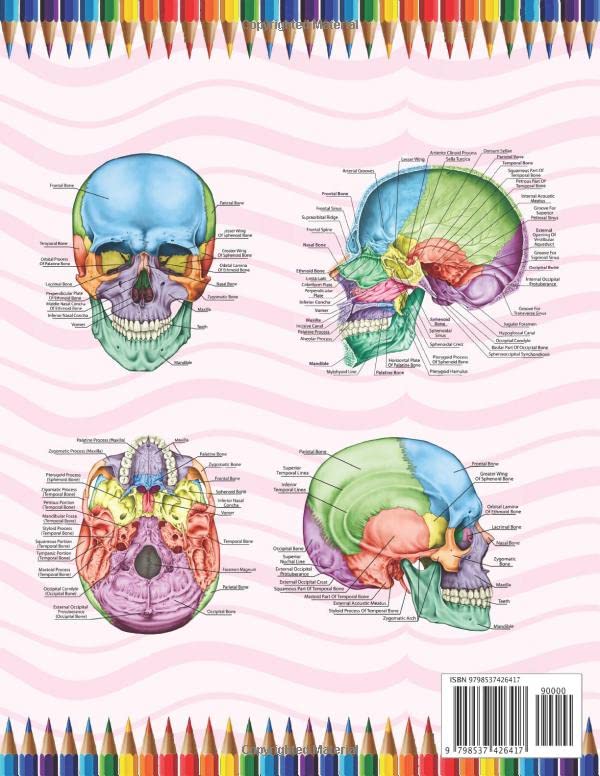 Skull Anatomy Coloring Book: Incredibly Detailed Self-Test Human Skull Anatomy Coloring Book for Anatomy Students | The Human Skull Anatomy Self Test ... Coloring Book for Kids Boys Girls Teens. - Image 2