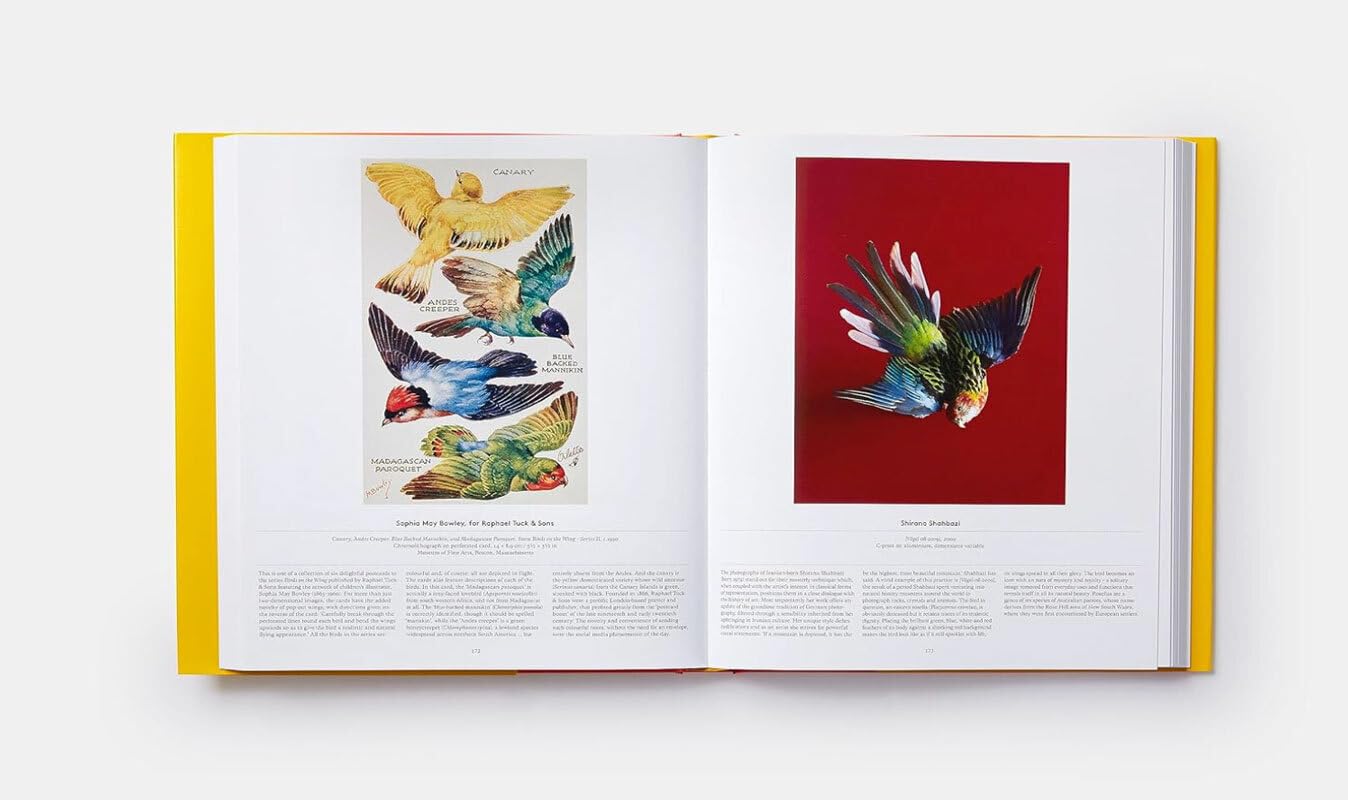 BIRDS - Die Welt der Vögel: Ein Ausflug in die gefiederte Welt. Üppiger Bildband mit künstlerischen und wissenschaftlichen Porträts von Vögeln in Malerei, Fotografie, Popkultur und Forschung