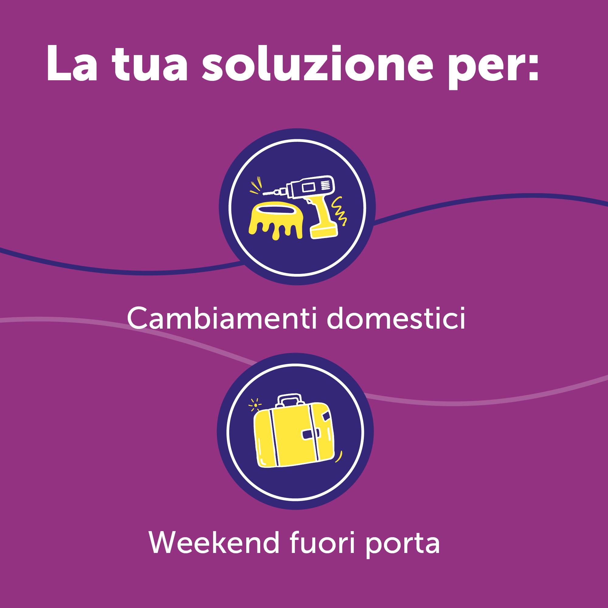 FELIWAY Help! Kit Diffusore Calmante per Gatti – 7 Giorni – Aiuta a tranquillizzare il tuo gatto ogni giorno o in occasioni stressanti. Raccomandato dai veterinari, Clinicamente testato.