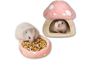 Charming Ceramic Mushroom Hideout For Your Small Pet