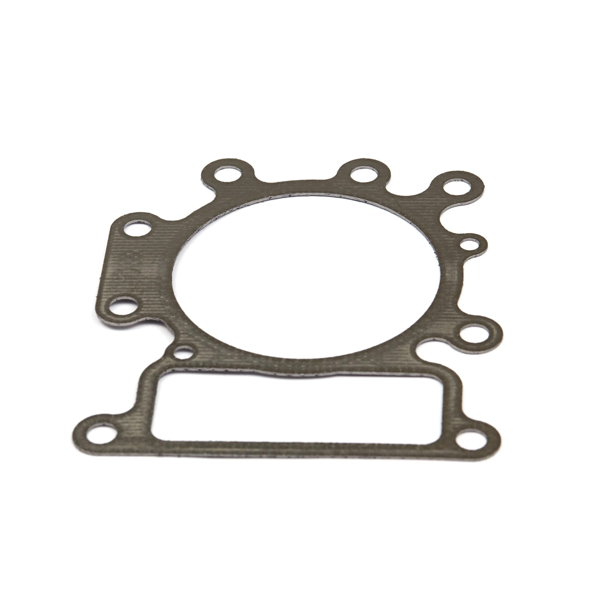 Amazon.com: Briggs & Stratton 796584 Briggs and Stratton Cylinder