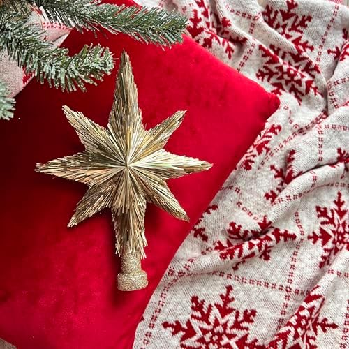 Amazon.com: Elegant Christmas Star Tree Topper - Unique Champagne Gold ...
