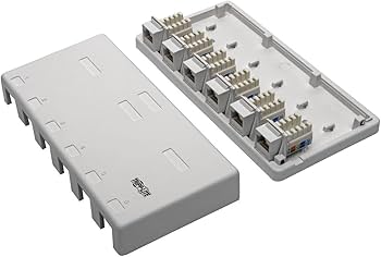 Amazon.com: TRIPP LITE Cat6 Surface-Mount Box 6-Port Pre