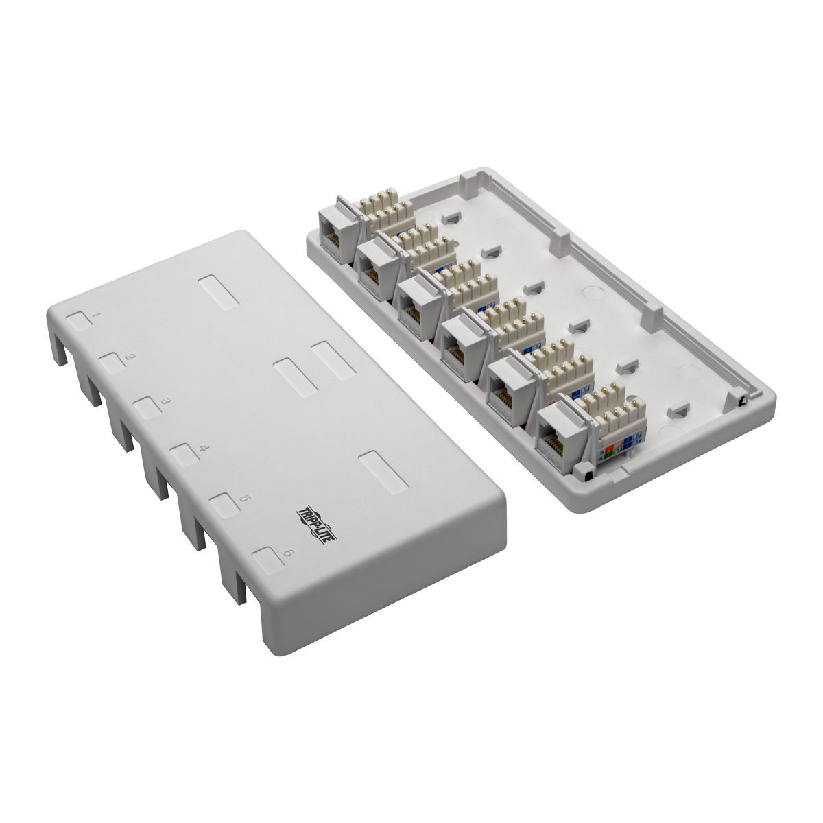 Amazon.com: TRIPP LITE Cat6 Surface-Mount Box 6-Port Pre