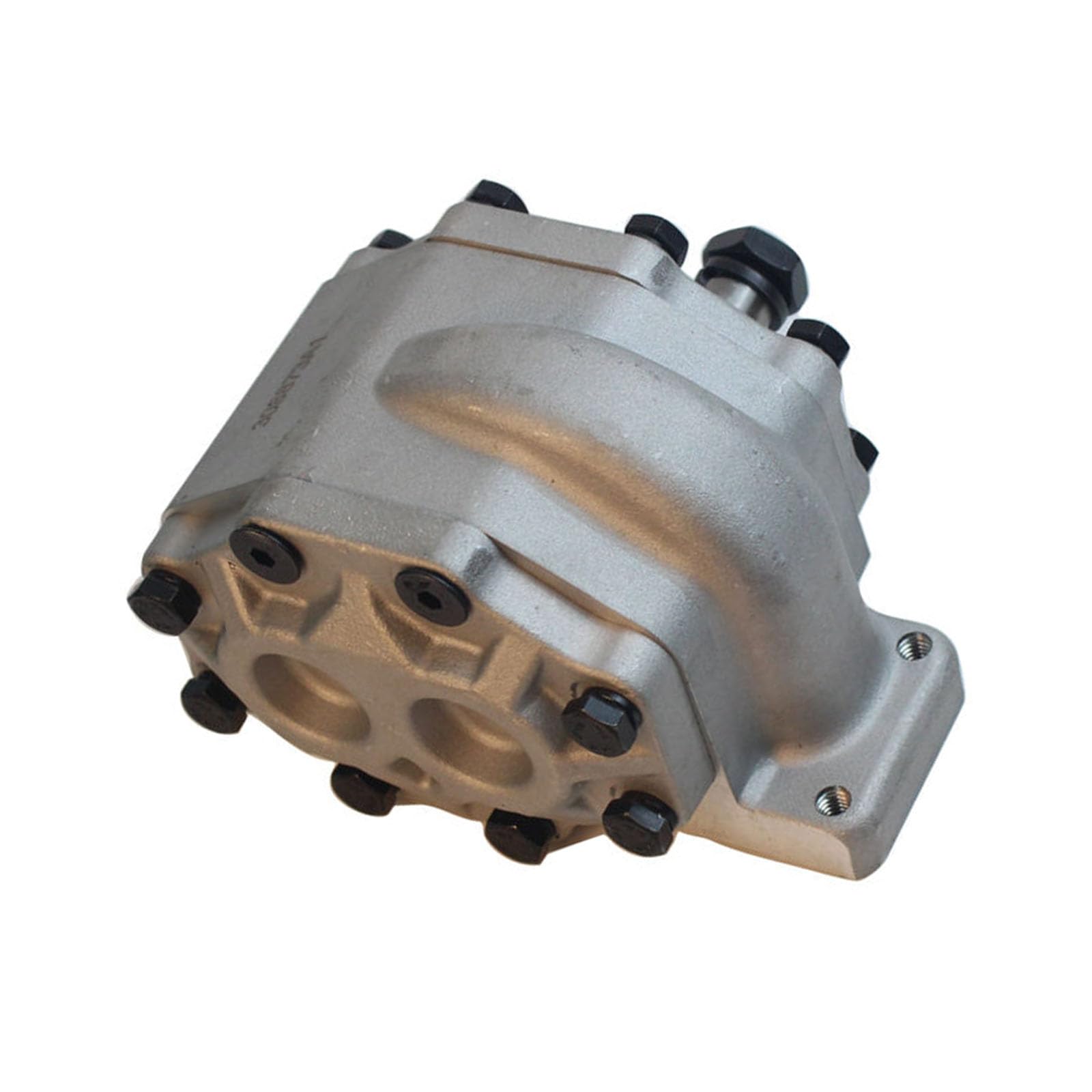 Amazon.com: Haiyazhma Hydraulic Gear Pump 308873A1 93835C92GV 