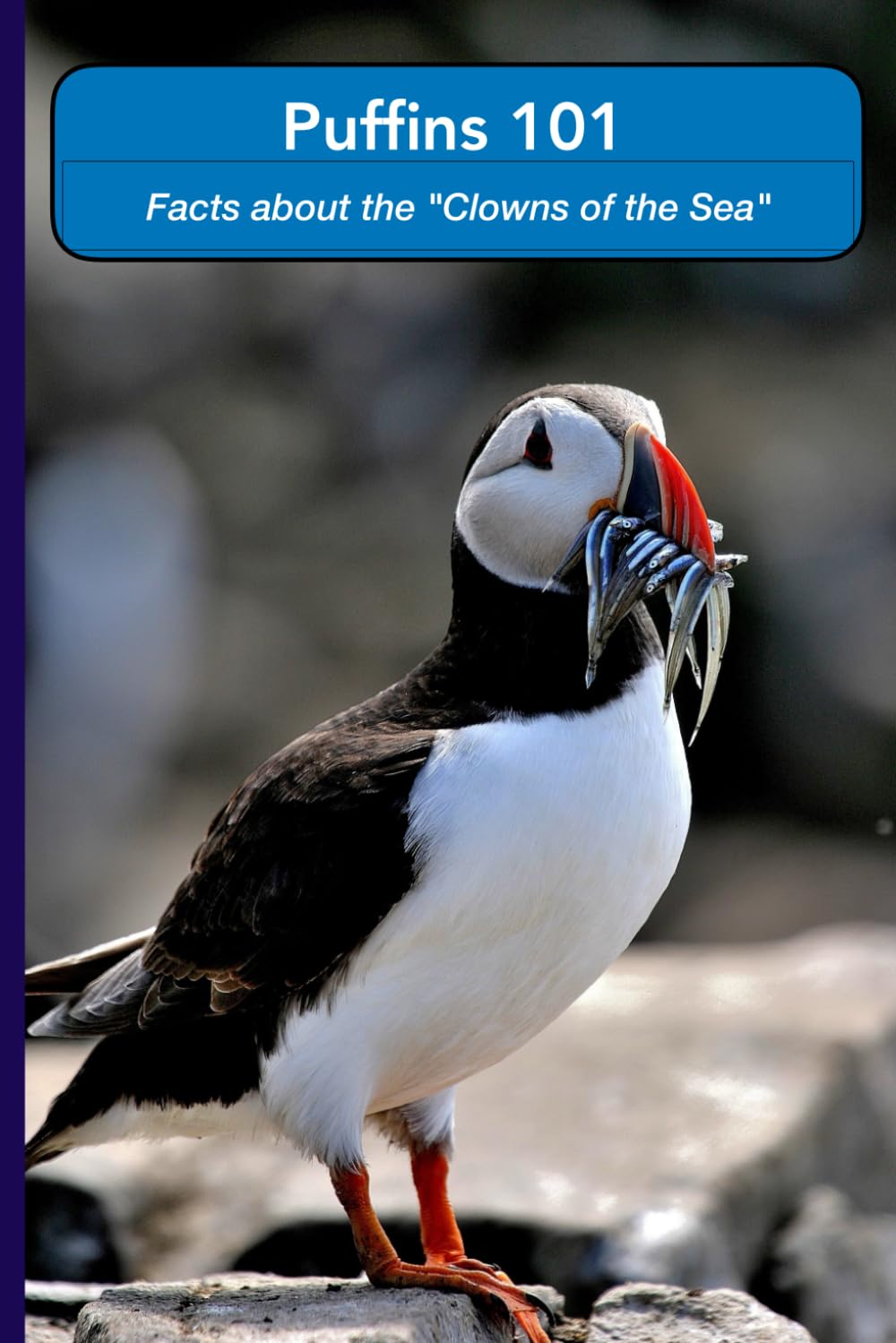 Puffins 101 - Fascinating Facts about the "Clowns of the Ocean": Puffins the world's favourite seabird