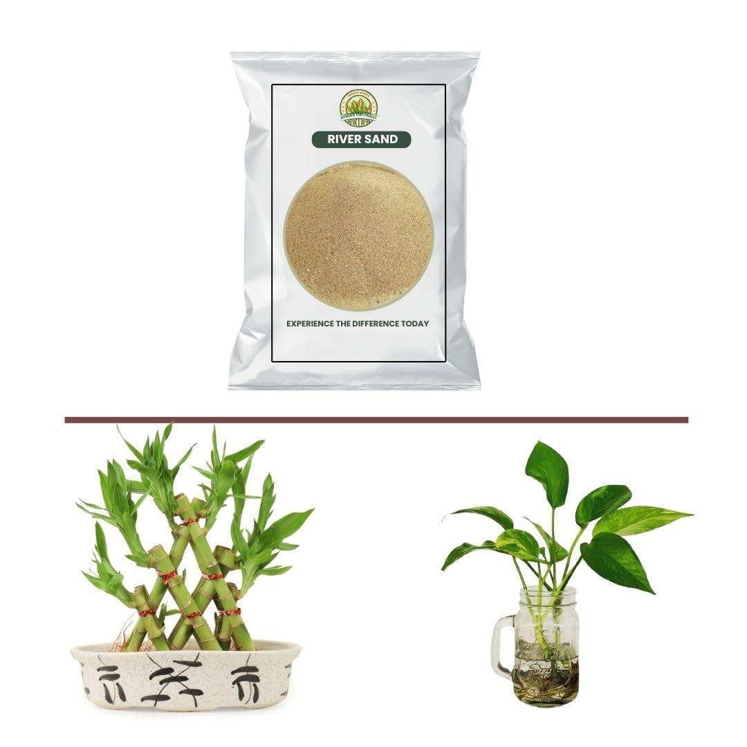 1 KG| River Sand | for Home Gardening and Aquarium | All Indoor and Outdoor Plants & Fish Tank Air Purifier Live Indoor Plant Outdoor Plant Decor Live Plant 3