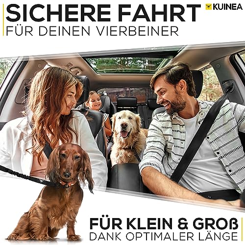 KUINEA® 2X Sicherheitsgurt für Hunde – elastischer Hundegurt mit Rückdämpfung & Verstellbarer Länge – Anschnallgurt fürs Auto, Robustes Hunde Zubehör für alle Rassen & Autotypen