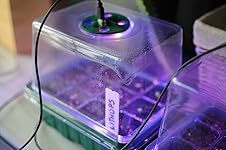 Review Image by Chaz Chaz