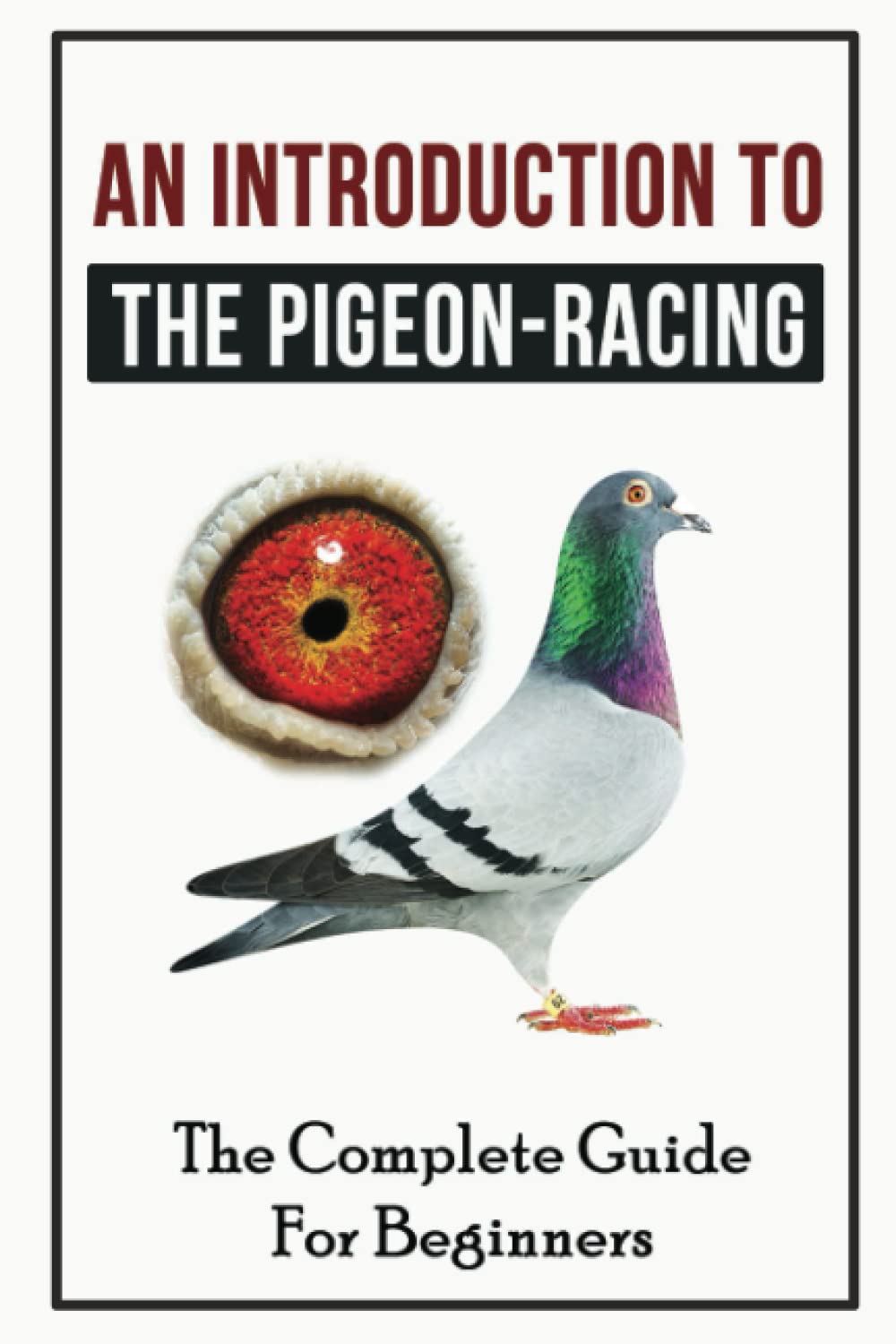 An Introduction To The Pigeon-Racing: The Complete Guide For Beginners
