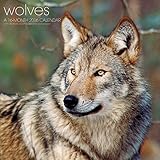 Wolves Wall Calendar (2016)