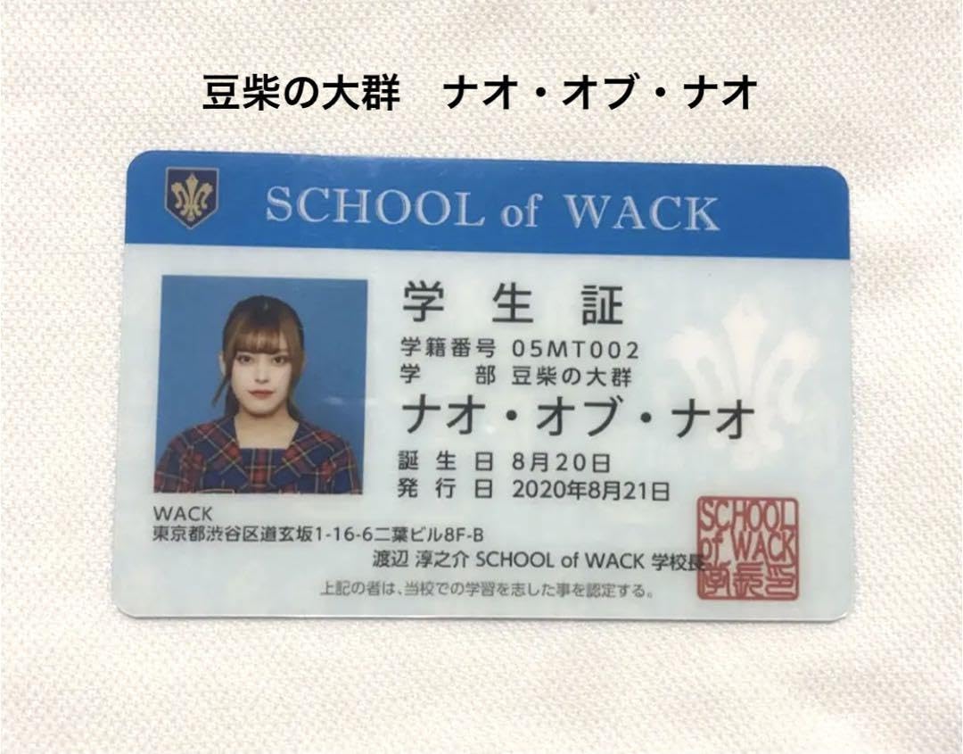 Amazon.co.jp: ナオオブナオ 学生証 SCHOOL OF WACK : おもちゃ