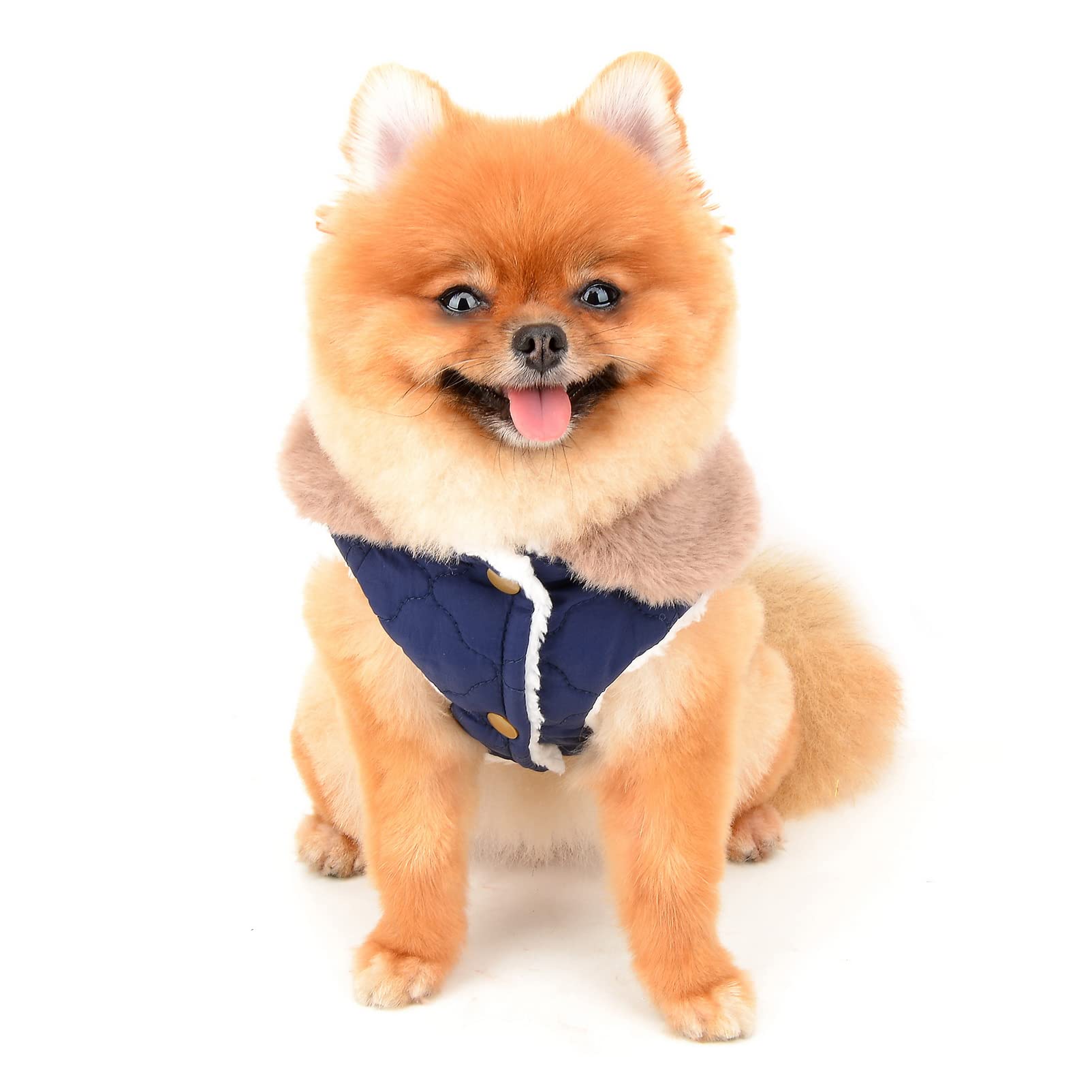 SMALLLEE_LUCKY_STORE Pet Furry Collar Quilted Jacket Winter Coat Vest with D-ring for Small Medium Dog Cat Sherpa Fleece Lined Puppy Chihuahua Yorkie Warm Cold Weather Clothes,Blue,M - Image 3