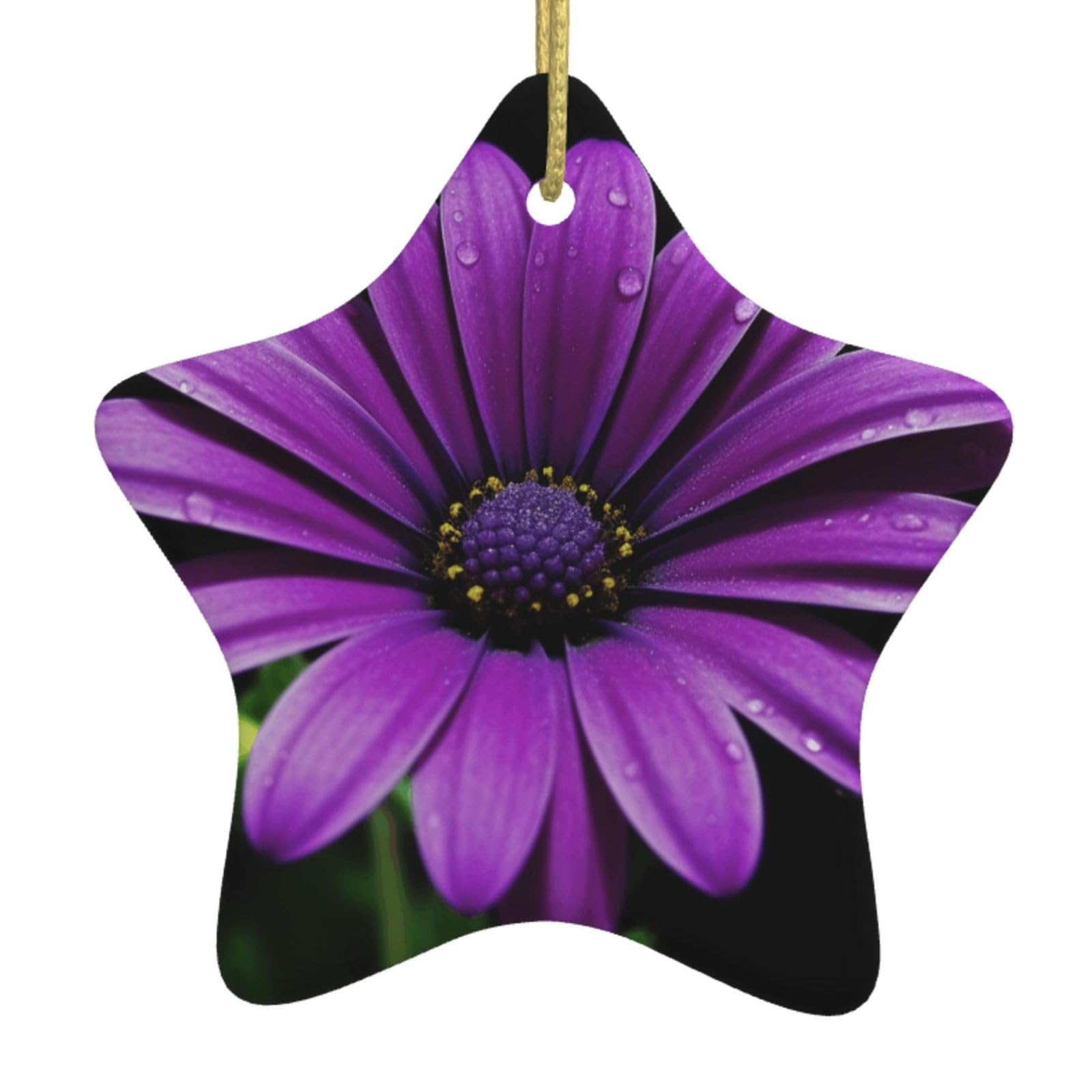Fodpand Women's White Purple Daisy Christmas Ornaments 2025, Gift Exchange For Men, Collectible Ceramic Ornament Star Hanging Ornaments For Christmas Tree Decoration