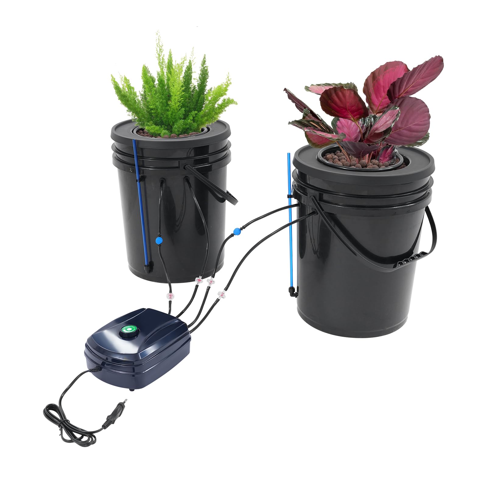 DWC Hydroponics Grow System - Sistema de cultivo hidropónico con 2 cubos + bomba de aire de 12 W para verduras y flores