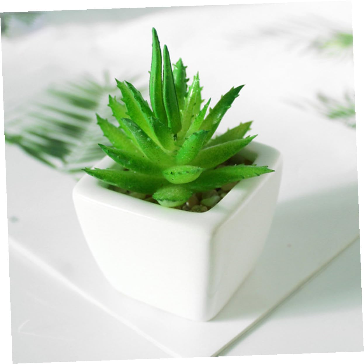 Succulente Artificielle Mini en Pot Céramique Lot de 6 Set de Set de Pièces