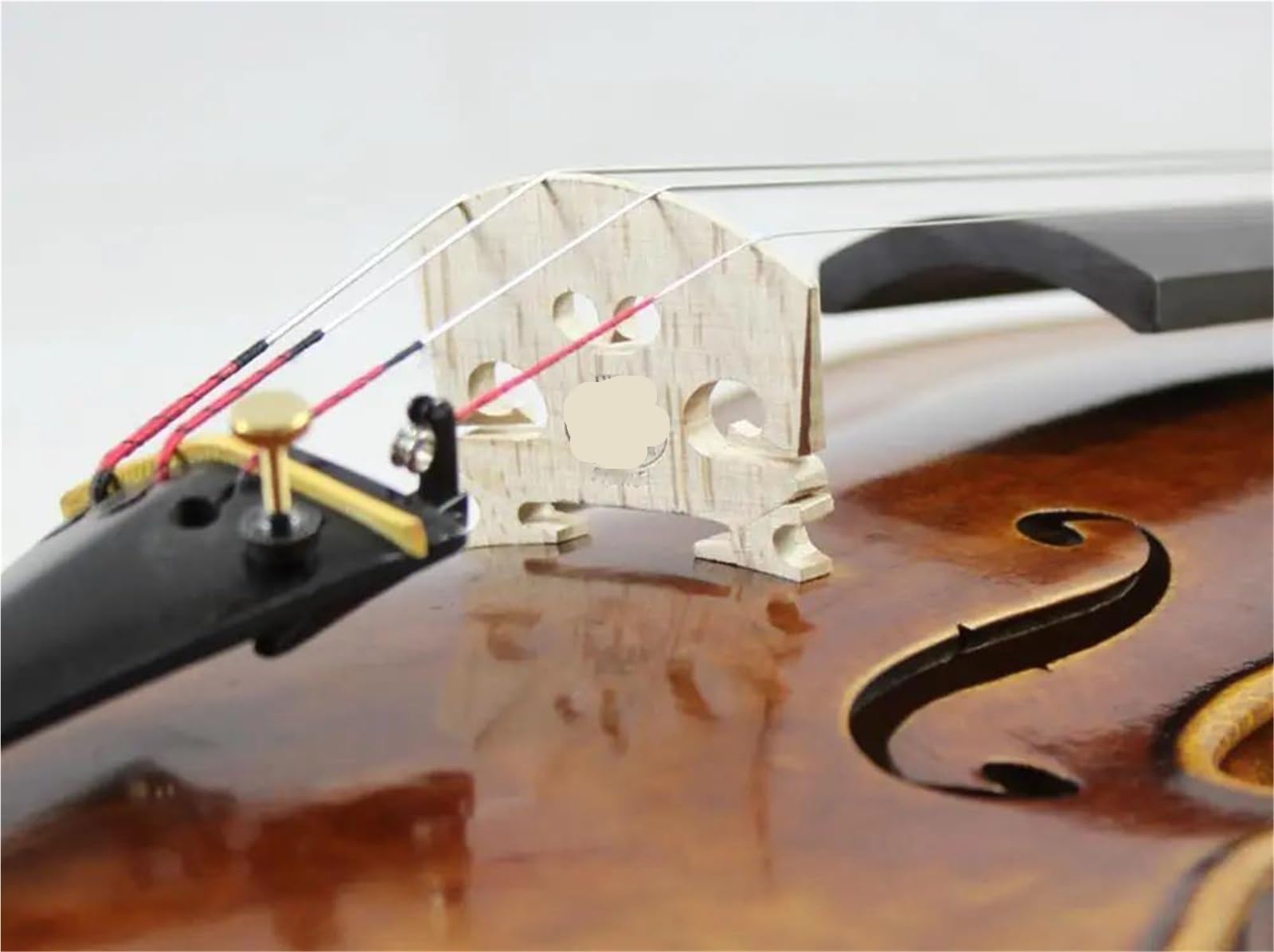 Violino Violino Da Concerto Grado 4/4 | Top in abete, vernice a base di olio