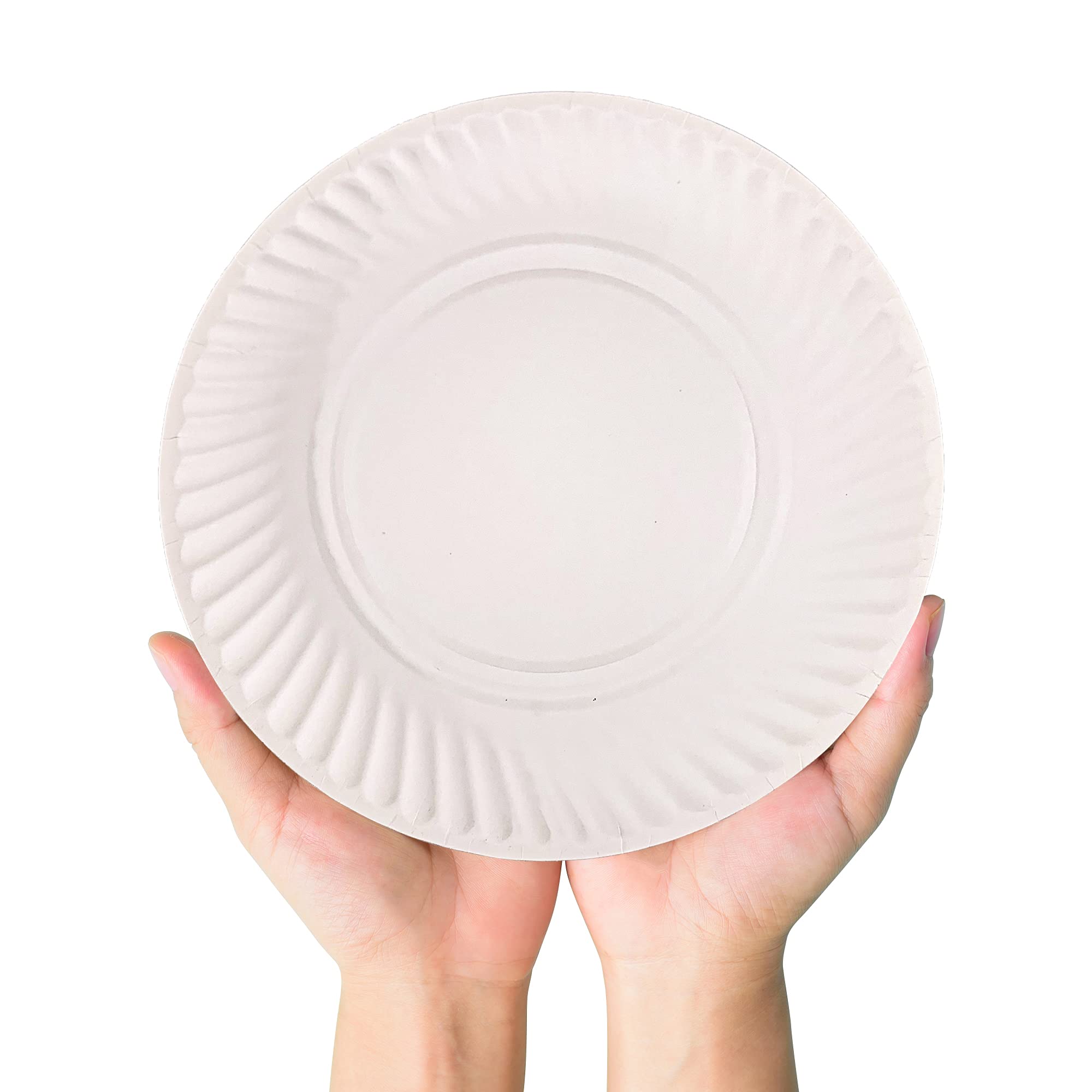 Buy shapersonic Round Paper Plates 9 Inch 100 Piece Fancy Disposable