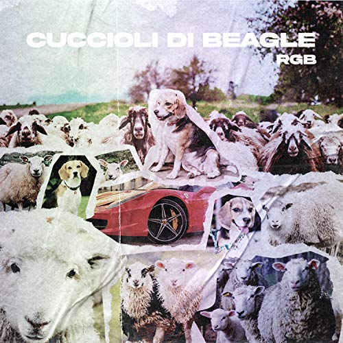  Cuccioli di Beagle [Explicit]