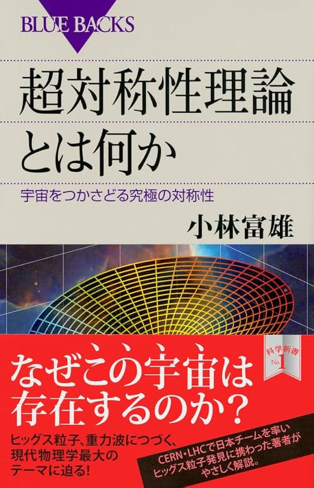 超対称性理論とは何か 宇宙をつかさどる究極の対称性 (ブルー