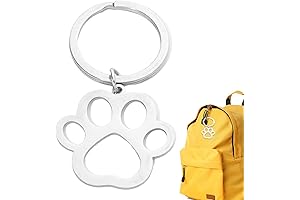 Hollowed-Out Animal Paw Keyring