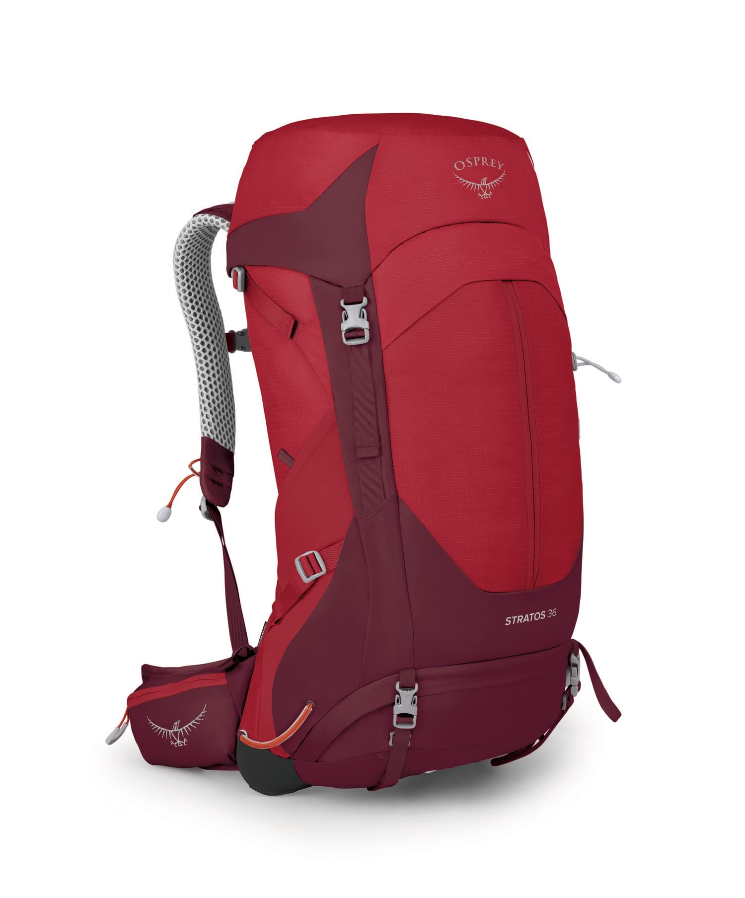 Amazon.co.jp: OSPREY(オスプレー) ストラトス 36 OS50306 