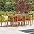 Stanyan | 7 Piece Outdoor Acacia Wood Dining Set | Perfect for Patio | with Teak Finish