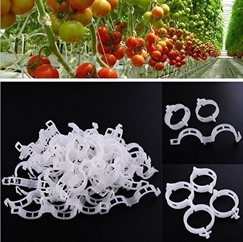 Supporti a J per Pomodori, Clip per Piante, Supporto per Ortaggi da Giardino, Traliccio per Prevenire che i Pomodori si Schiaccino o Cadano