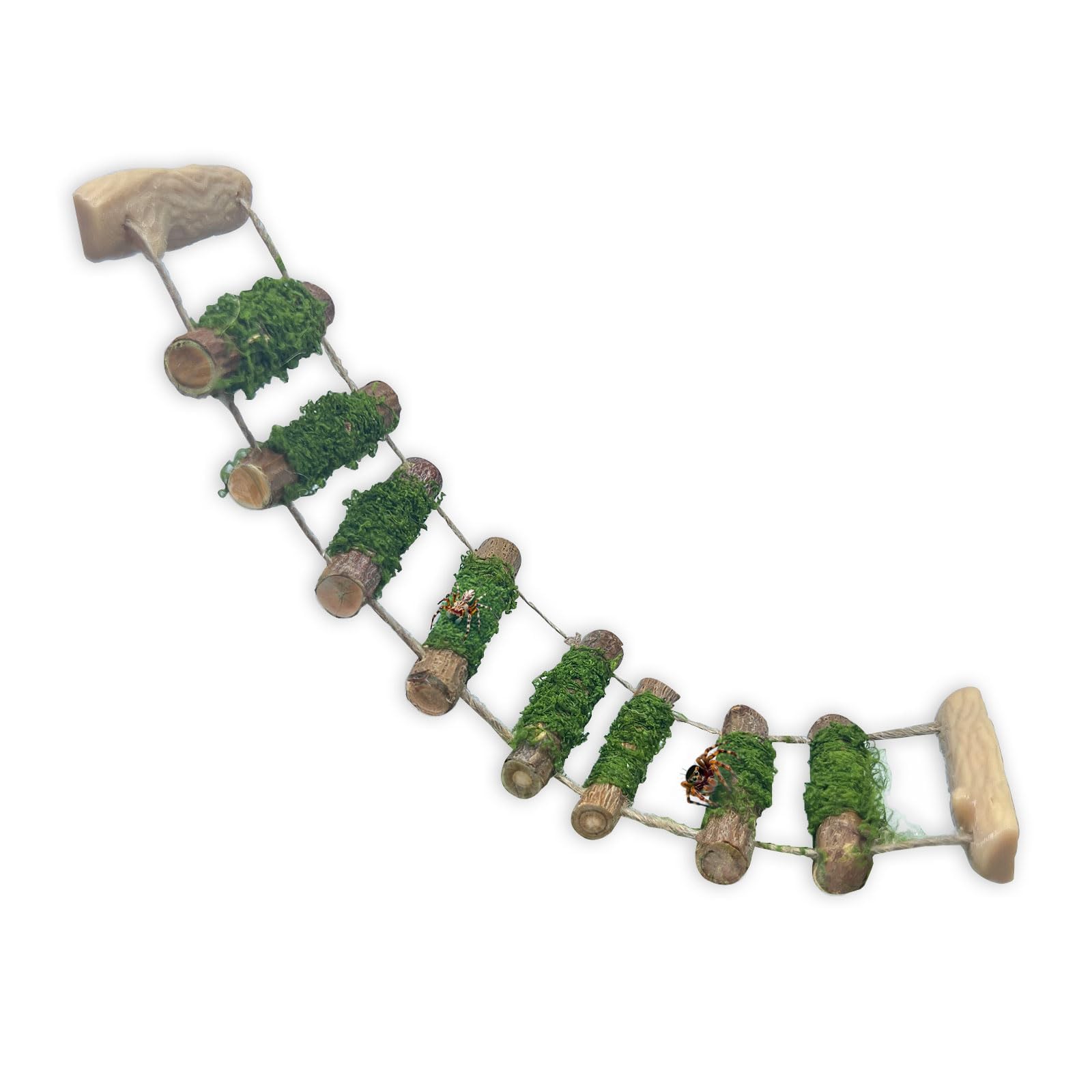 Jumping Spider Rope Bridge,A Solid Wood Climbing Suspension Bridge, a Jumping Spider Enclosure Accessory, Handmade, a Spider Jump Platform, Used As a Decorative Accessory for Small Reptile Enclosures