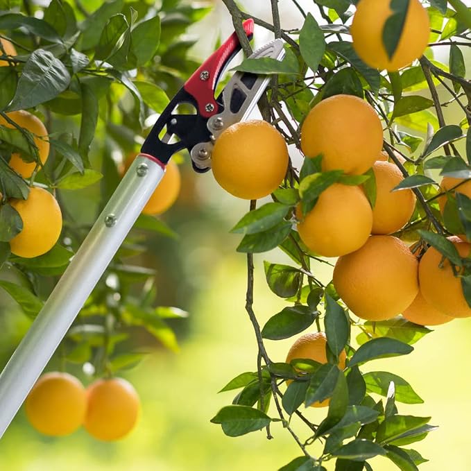 Tijeras de podar para jardín con mango largo 32 pulgadas miniatura 2