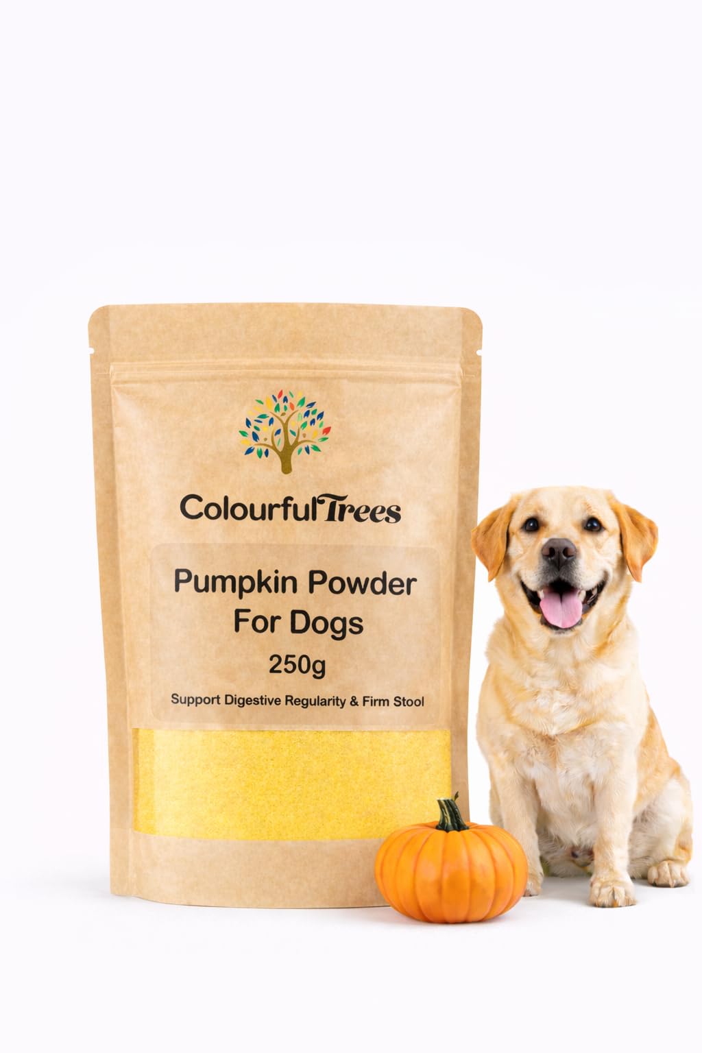 Pumpkin Powder for Dogs 250g – 100% Pure, Natural & Nutrient-Rich Pumpkin Supplement, High in Fibre & Prebiotics – Colourful Trees